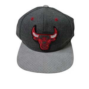 Mitchell Ness Chicago Bulls SnapBack Hat Gray Red Bull